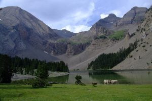 Naar de Pyreneeën