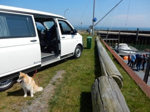 Met de camper en hond op stap naar Denemarken